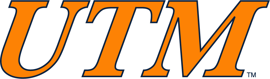 Tennessee-Martin Skyhawks 2007-2017 Wordmark Logo iron on transfers for clothing